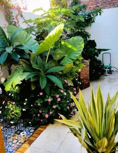 Shanti Garden House بيت للعطل دهب