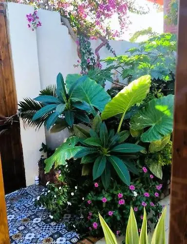 Shanti Garden House