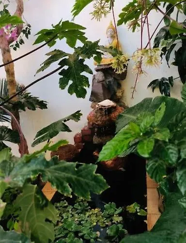 بيت للعطل Shanti Garden House *