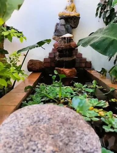 Shanti Garden House بيت للعطل دهب